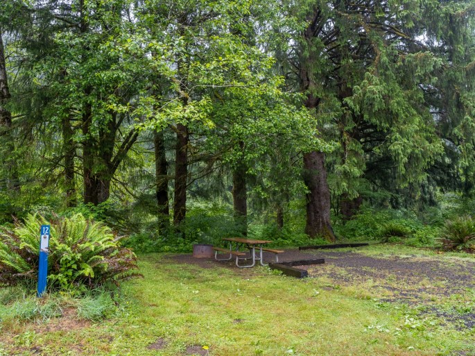 Kilchis River County Park campground