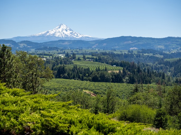 Mt. Hood