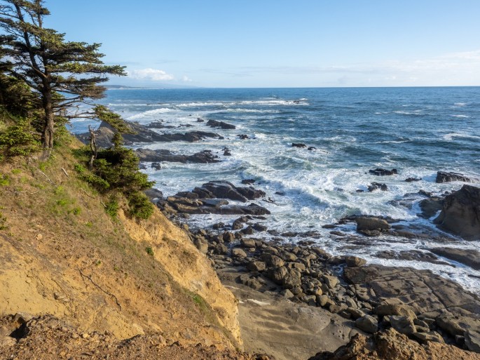 Cape Arago coastline
