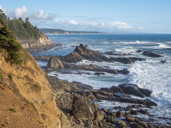 Cape Arago coastline